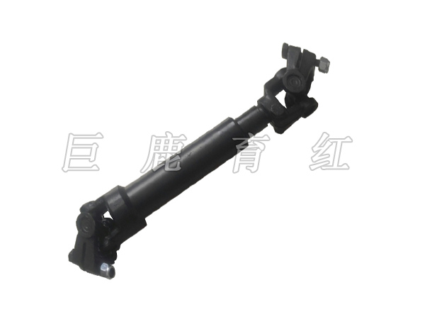 TR100 Short axis  15312261